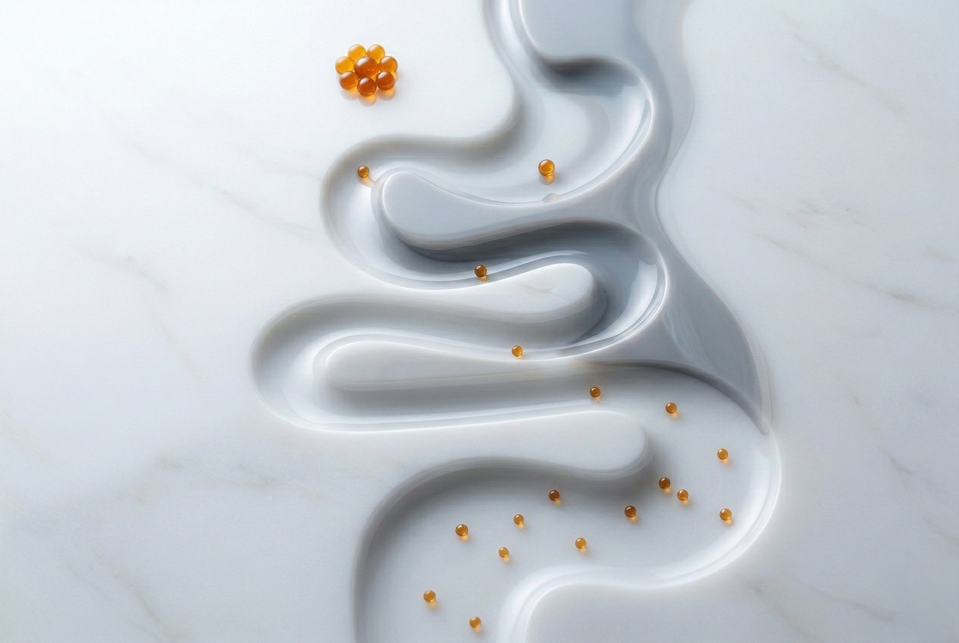 immagine astratta sistema digerente